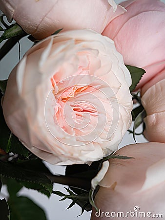 A bouquet of beautiful delicate flowers for a wedding. Stock Photo