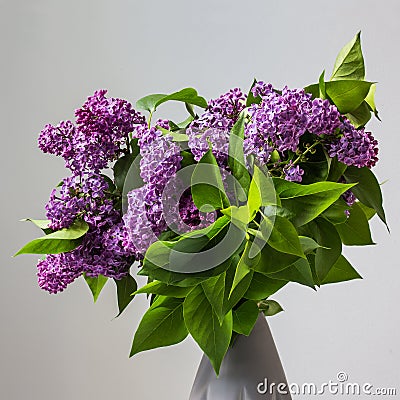 Beautiful lilac detail bouquete with green leaves Stock Photo