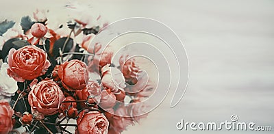 Bouquet of beautiful romantic antique peony roses. Background of romantic flowers. Banner, Copy space Stock Photo