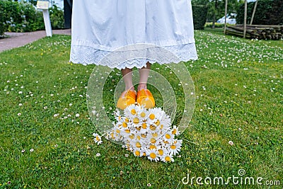 Bouquet beautiful white daisies in summer garden. Chamomiles in green grass. Women wearing in white dress and traditional dutch Stock Photo
