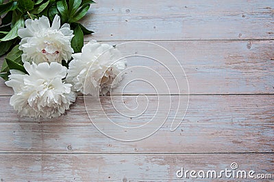 A bouquet of beautiful white peonies Paeonia lies on a light wooden background. Stock Photo