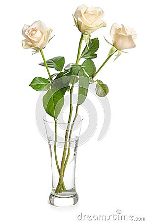 Bouquet of beauty roses in glass vase Stock Photo