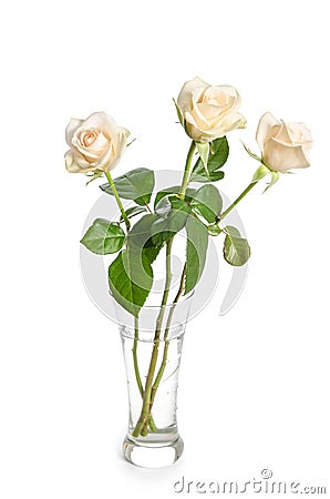 Bouquet of beauty roses in glass vase Stock Photo