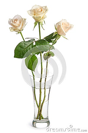 Bouquet of beauty roses in glass vase Stock Photo