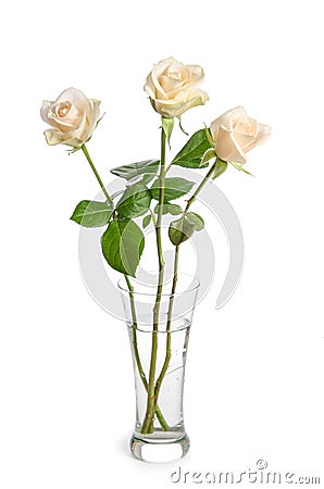 Bouquet of beauty roses in glass vase Stock Photo