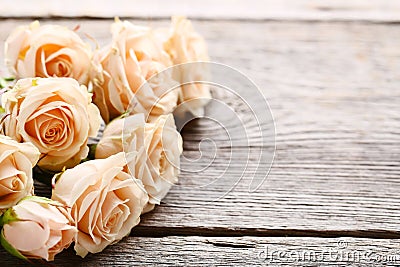 Bouquet of beige roses Stock Photo