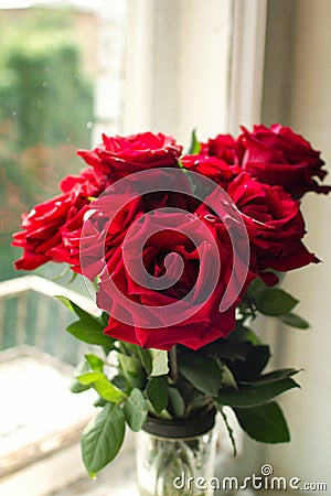 Bouquet of big red roses Stock Photo