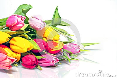 Bouquet of blossoming tulips Stock Photo