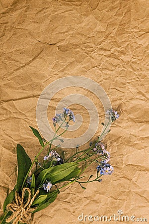 A bouquet of blue forget-me-not flowers on an old yellow rumpled Stock Photo