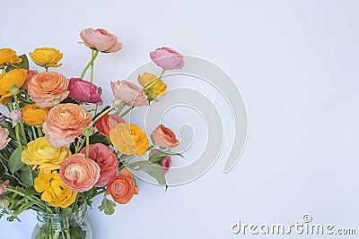 Bouquet of Bright Ranunculus Flowers on Left Side of White Background Stock Photo