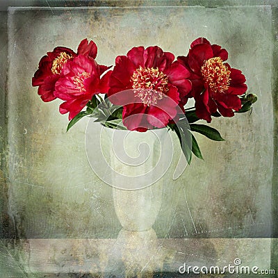 Bouquet of burgundy peonies with vintage texture Stock Photo