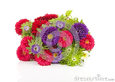 Bouquet of colorful Asters flowers Stock Photo