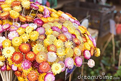 Bouquet of colorful flowers in the market Stock Photo