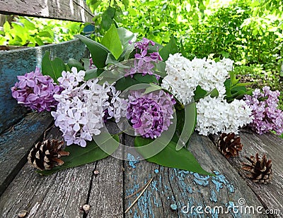 A bouquet of colorful lilacs on an old wooden bench Stock Photo