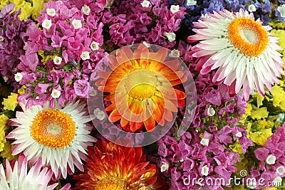 Colorful Statice Limonium and Helichrysum flowers background Stock Photo