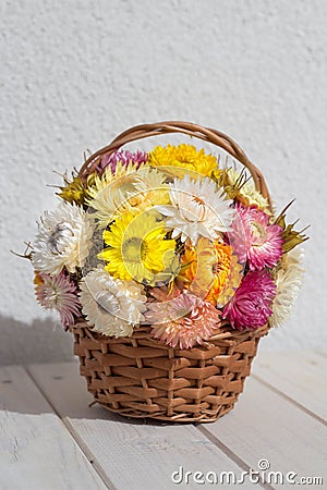 Bouquet of colourful strawflowers in a wickery basket - autum decoration of golden everlasting on the table Stock Photo