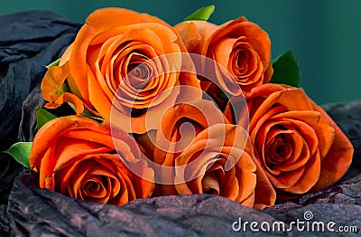 Bouquet coral roses to give with love, Stock Photo