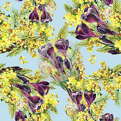 Bouquet crocus and mimosa , watercolor Stock Photo