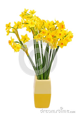 Bouquet of daffodils flower Stock Photo