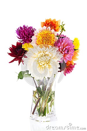 Bouquet Dahlias in glass vase Stock Photo