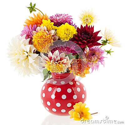 Bouquet Dahlias in red vase Stock Photo