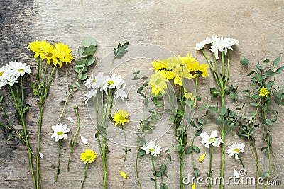 Bouquet daisy chamomile flowers on wooden garden table. Stock Photo