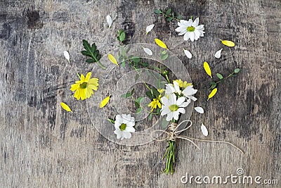 Bouquet daisy chamomile flowers on wooden garden table. Stock Photo