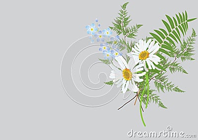 Bouquet of daisy flowers with fern leaves isolated drawing Stock Photo