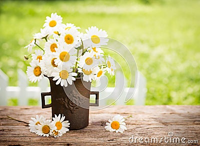 Bouquet of daisy flowers Stock Photo