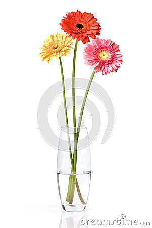 Bouquet from daisy-gerbera in glass vase Stock Photo