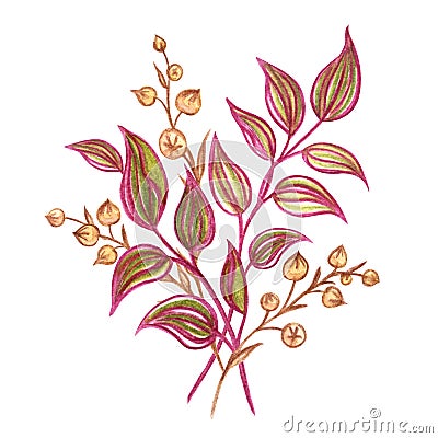 Bouquet of decorative twigs, watercolor drawing isolated on white background Stock Photo