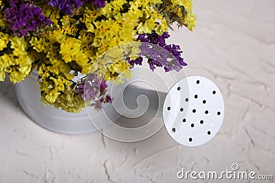 A bouquet of dried flowers in a decorative watering can. Bouquet statice. On a light background. Close-up Stock Photo