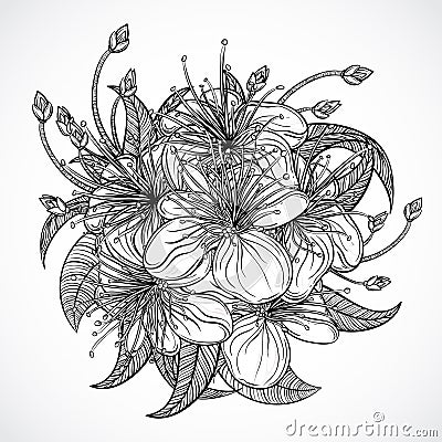 Bouquet of exotic flowers.Black and white tropical flowers and leaves. elements. Vintage hand drawn vector illustration Vector Illustration