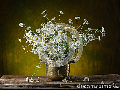 Bouquet of field chamomiles in the vase on the wooden table Stock Photo