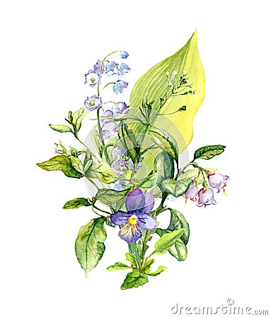 Bouquet of field flowers, summer herbs, wild grass. Botanical watercolor illustration Cartoon Illustration