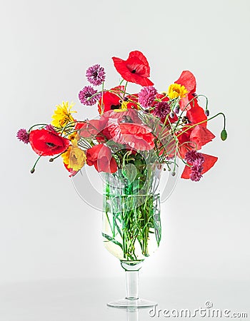 A Bouquet of Field Poppies Flowers in a Glass Vase. Stock Photo