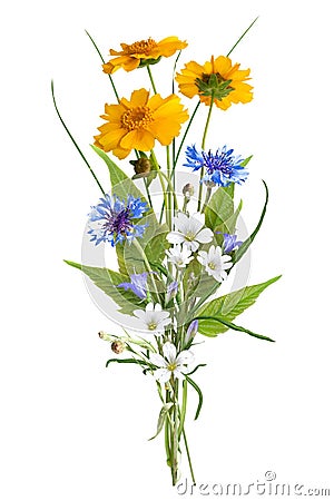 Bouquet of the field wild flowers, easter colors, isolated Stock Photo