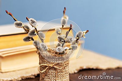 Bouquet of flowering willow twigs near books in the room Stock Photo