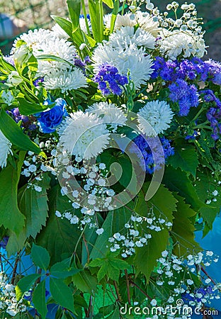 Bouquet of flowers. an attractively arranged bunch of flowers, especially one presented as a gift or carried at a ceremony. nose Stock Photo