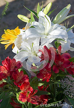 Bouquet of flowers. an attractively arranged bunch of flowers, especially one presented as a gift or carried at a ceremony. nose Stock Photo