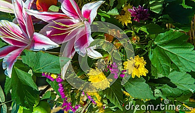 Bouquet of flowers. an attractively arranged bunch of flowers, especially one presented as a gift or carried at a ceremony. nose Stock Photo