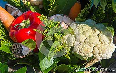 Bouquet of flowers. an attractively arranged bunch of flowers, especially one presented as a gift or carried at a ceremony. nose Stock Photo