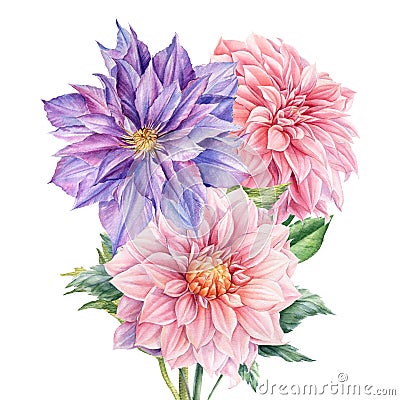 Bouquet of flowers dahlia, clematis, watercolor botanical illustration Cartoon Illustration