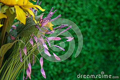 bouquet of flowers on a green background. yellow and purple flowers. macrophoto Stock Photo