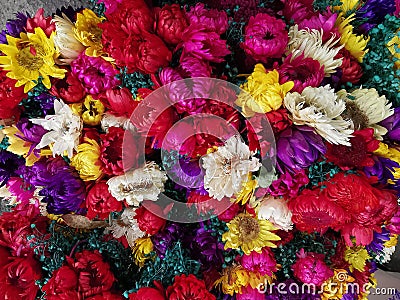 Bouquet of flowers immortelle colorful Stock Photo