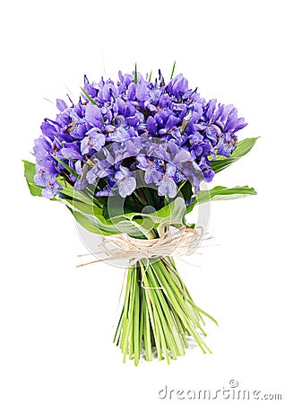 Bouquet of flowers iris Stock Photo