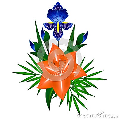 Bouquet of flowers, iris and lily. Vector Illustration