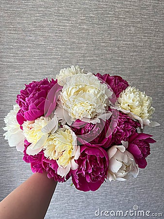 Bouquet of flowers of Medicinal Peony Paeonia officinalis. Medicinal peony close-up Stock Photo