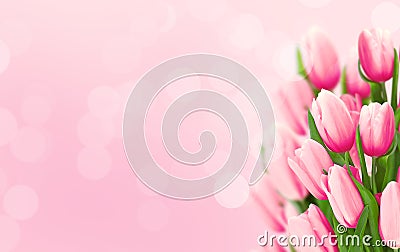 Bouquet of flowers. Pink tulips on blurred background with copy Stock Photo