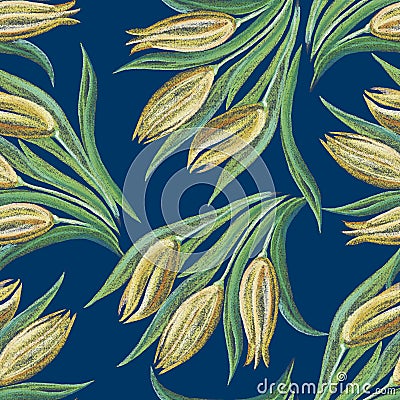Bouquet flowers tulip on blue background. Stock Photo